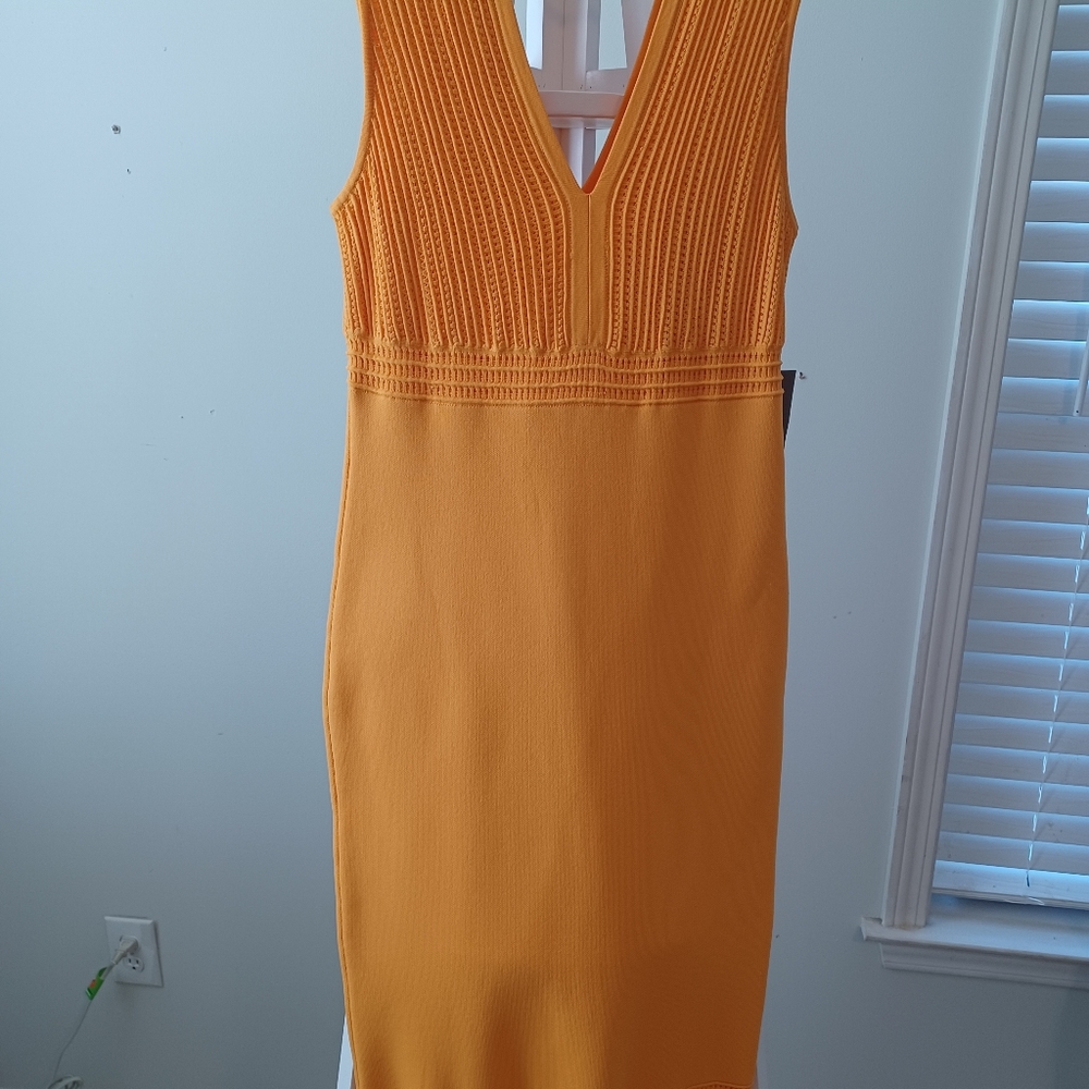 Eva Mendes for New York & Company Vibrant Orange Maxi Dress